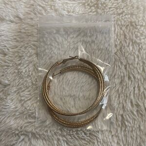 Elegant Gold Hoop Earrings